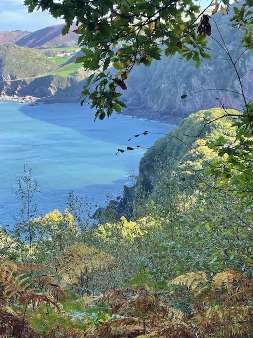 Rock Pipit, Moor And Sea Holidays, Five Minutes Drive To The Sea Lynton Exterior foto
